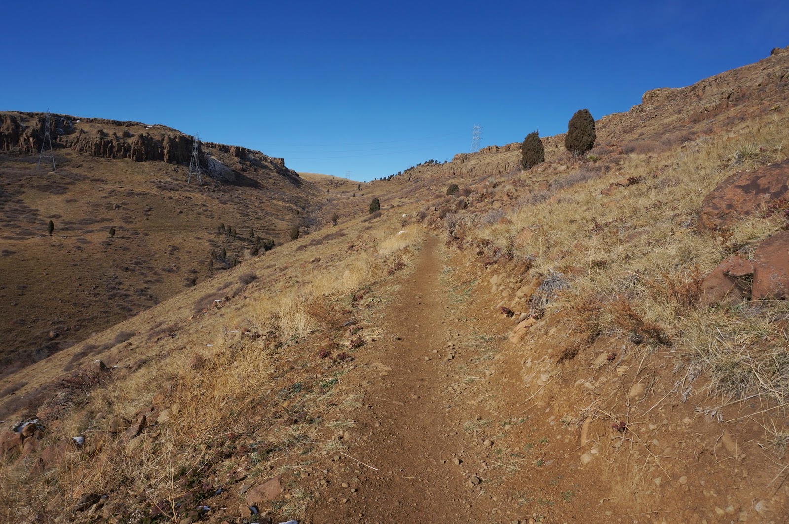 Web forest walk at telok blangah hill park. Go Hike Colorado North Table Mountain Park, Jefferson County Open Space