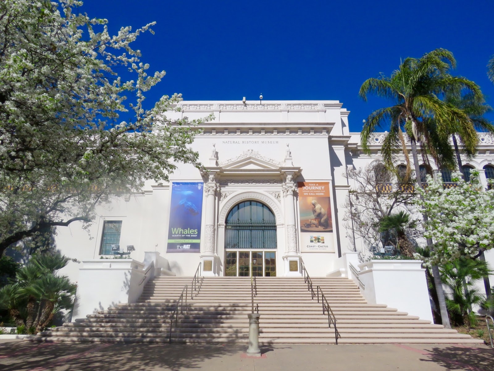 Explore the natural history of southern california and. Winds of Destiny RVLife San Diego Natural History Museum, 2/11/2016