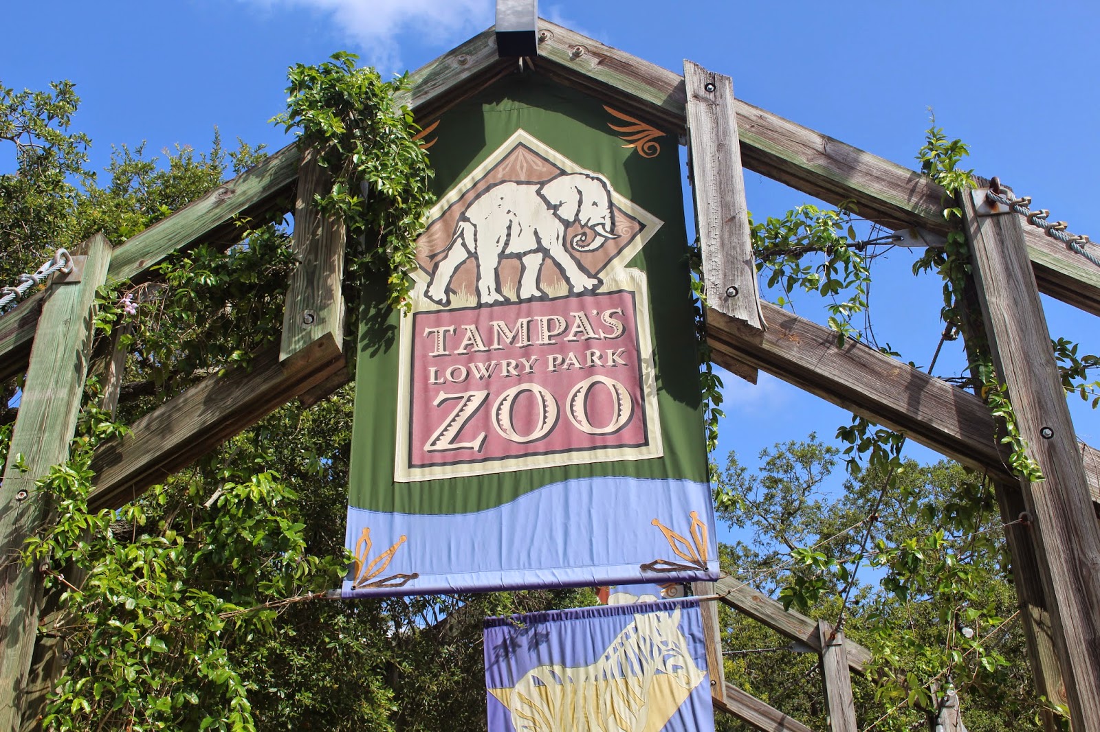 Web animals at zootampa our animals hours today's hours: Top Tips for Visiting Tampa's Lowry Park Zoo as a Family