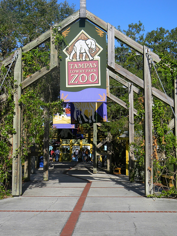 The "Unknown" Florida Lowry Park Zoo Tampa, FL