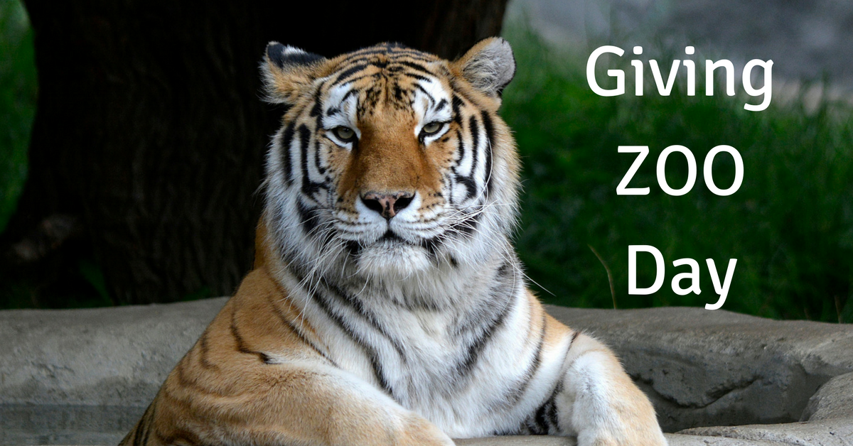 Web royal oak, mich. Mom Among Chaos Giving Zoo Day