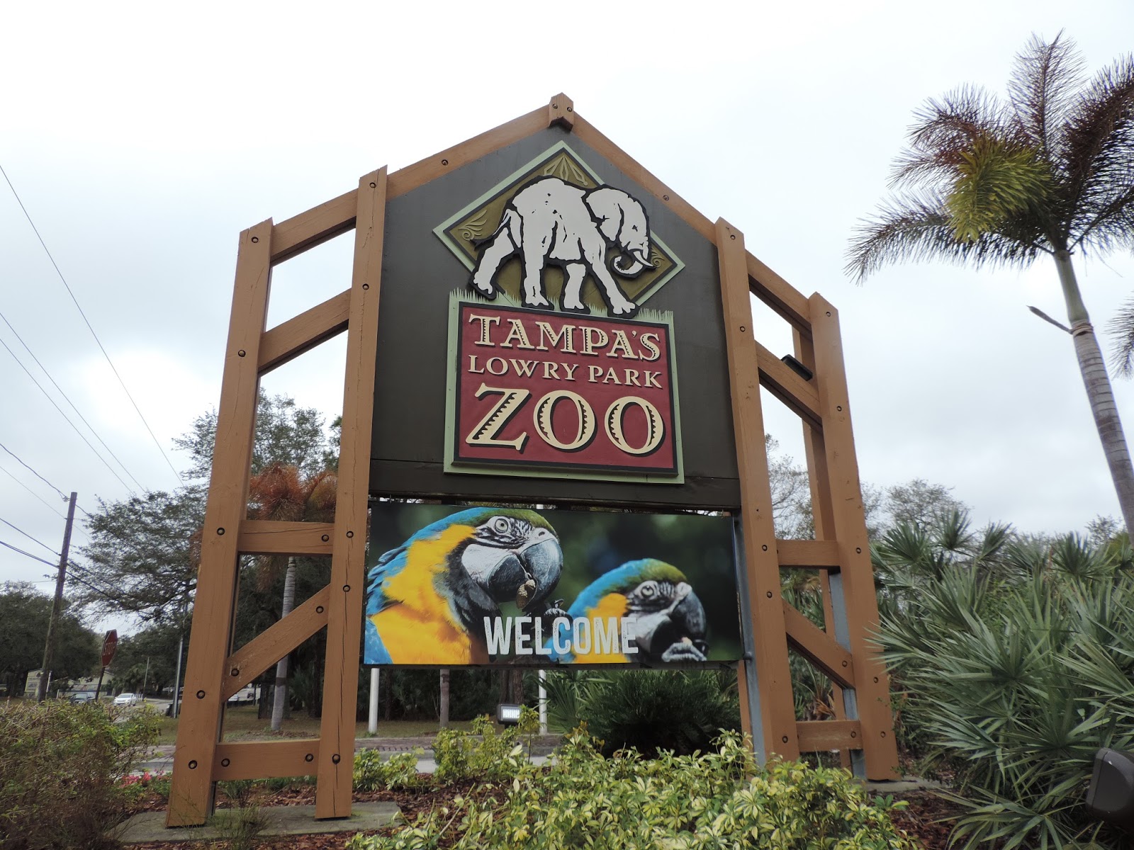 Improve this listing all photos (67) top ways to experience nearby attractions 2022 zootampa at lowry park admission ticket 200 zoo tickets from $47.95 per adult Mail4Rosey Lowry Park Zoo in Tampa 1300 Species on 60 Acres of