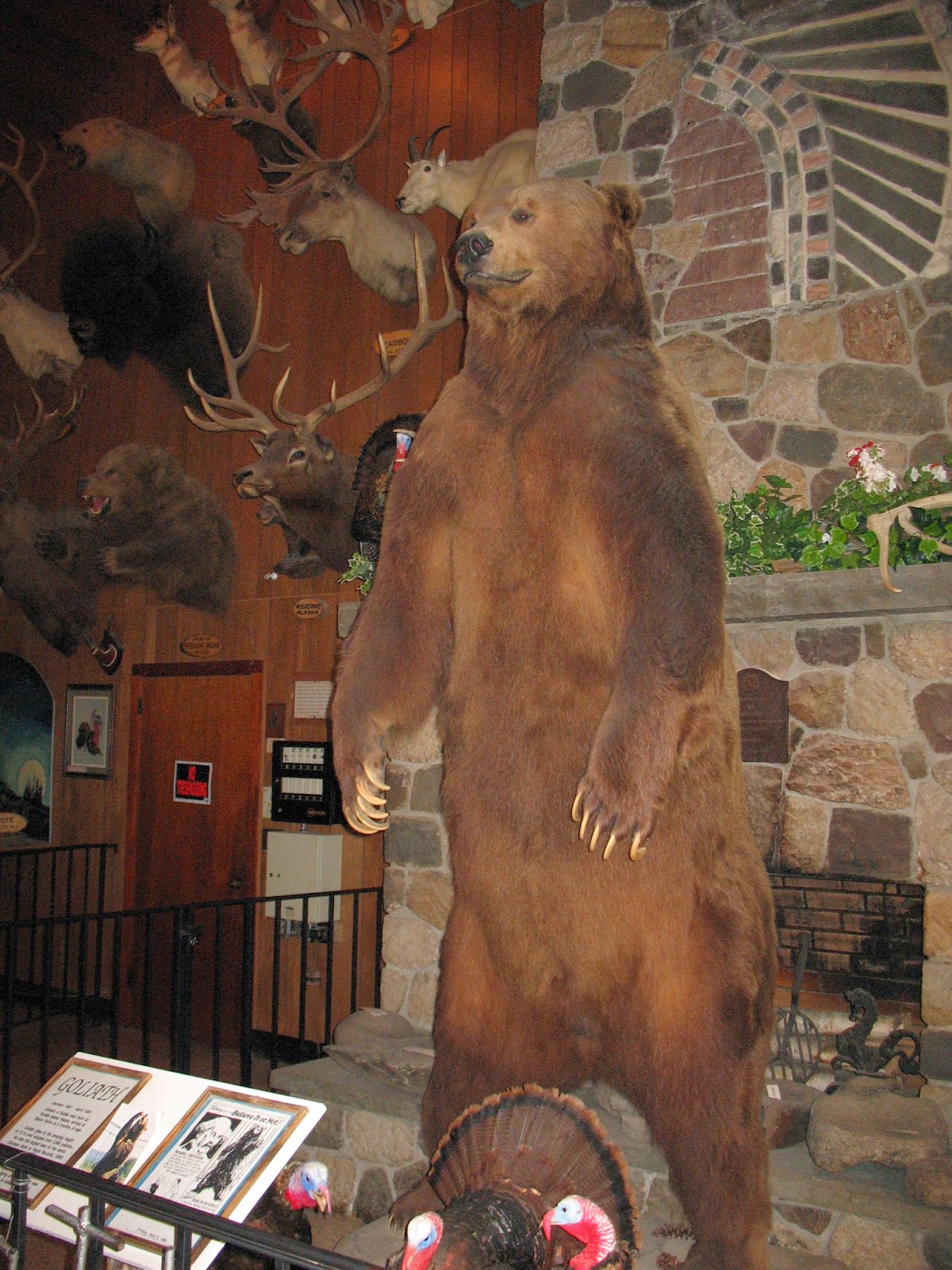 Improve this listing all photos (92) revenue impacts the experiences featured on this. The Jersey Momma A Review of Space Farms Zoo & Museum