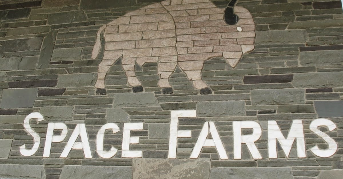 See 224 reviews, articles, and 80 photos of space farms zoo & museum, ranked no.5 on tripadvisor among 13 attractions in sussex. A Review of Space Farms Zoo & Museum The Jersey Momma