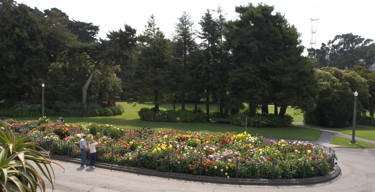 The singapore botanic gardens (sbg), arguably the republic’s most important intact historic site, is living and growing in many ways. Organic Garden Dreams The Dahlia Garden in Golden Gate Park, San Francisco