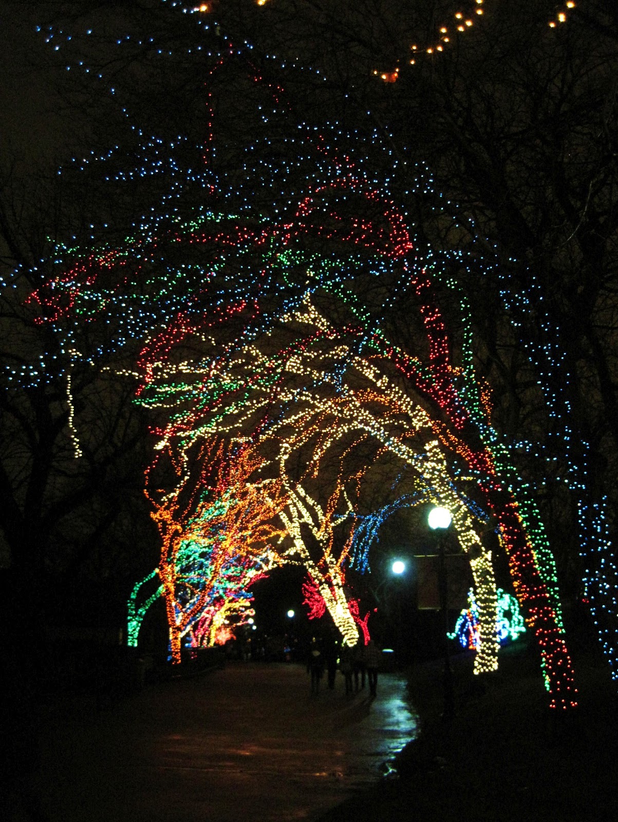 Web zoo lights powered by les runs through december 30. Erin Doppelt Photography Zoo Lights at Lincoln Park Zoo