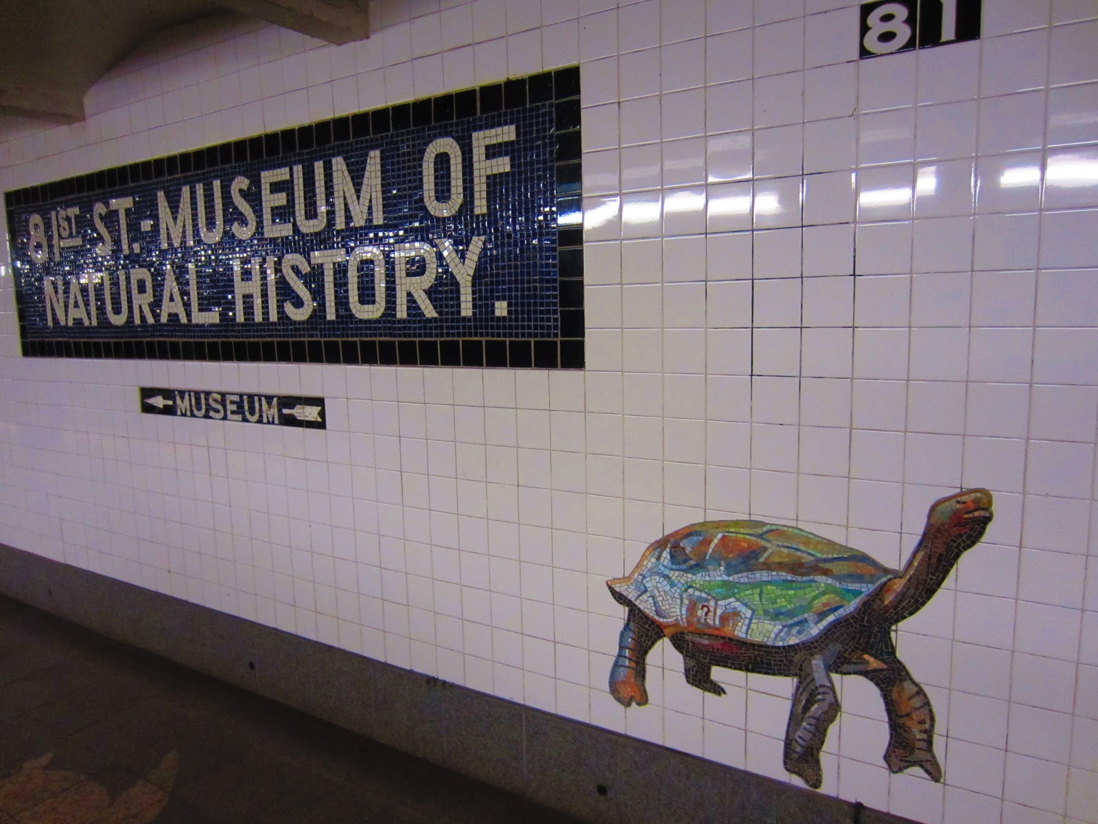 Web the 81 street museum of natural history station is a unique subway station located in new york city that offers visitors an immersive experience exploring the wonders of natural history. Pay a Visit New York City Subway Stations 81st St Museum of Natural