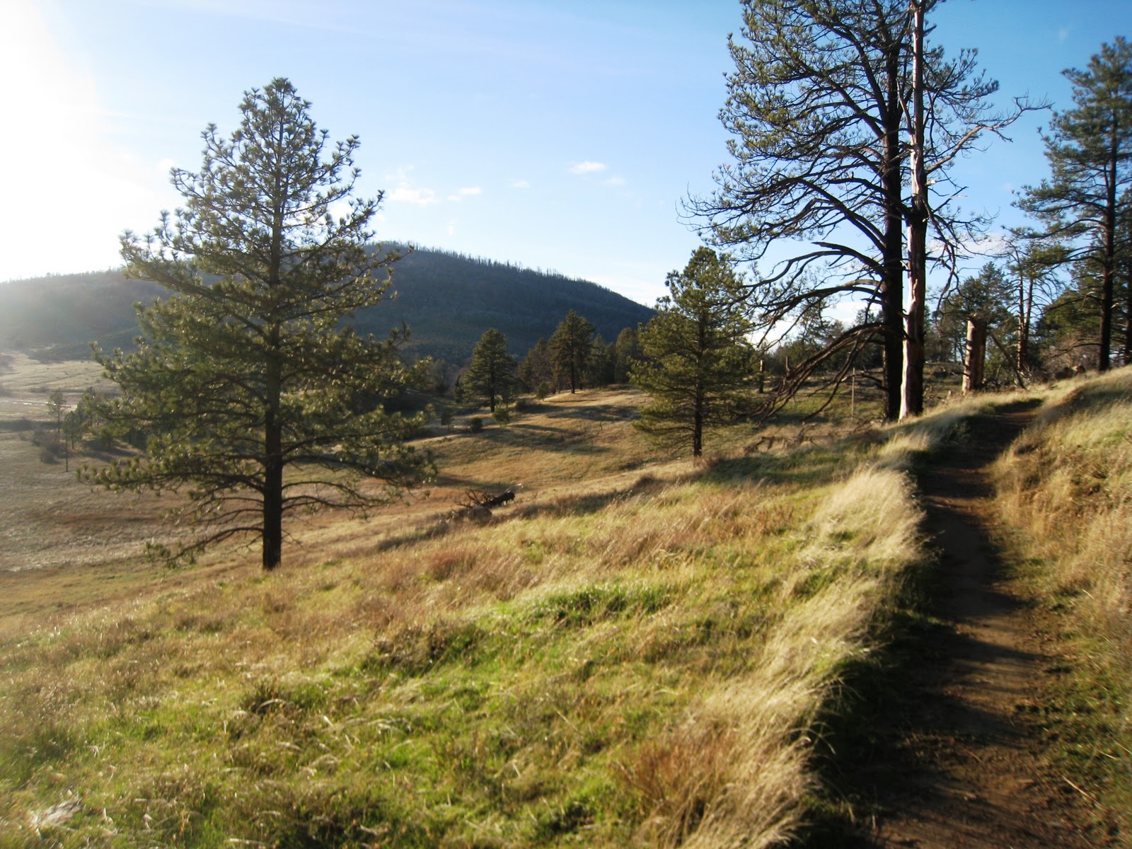 Web best walking trails in cuyamaca rancho state park. Brian and Ashley's Hiking Blog! Stonewall Mine (Cuyamaca Rancho State