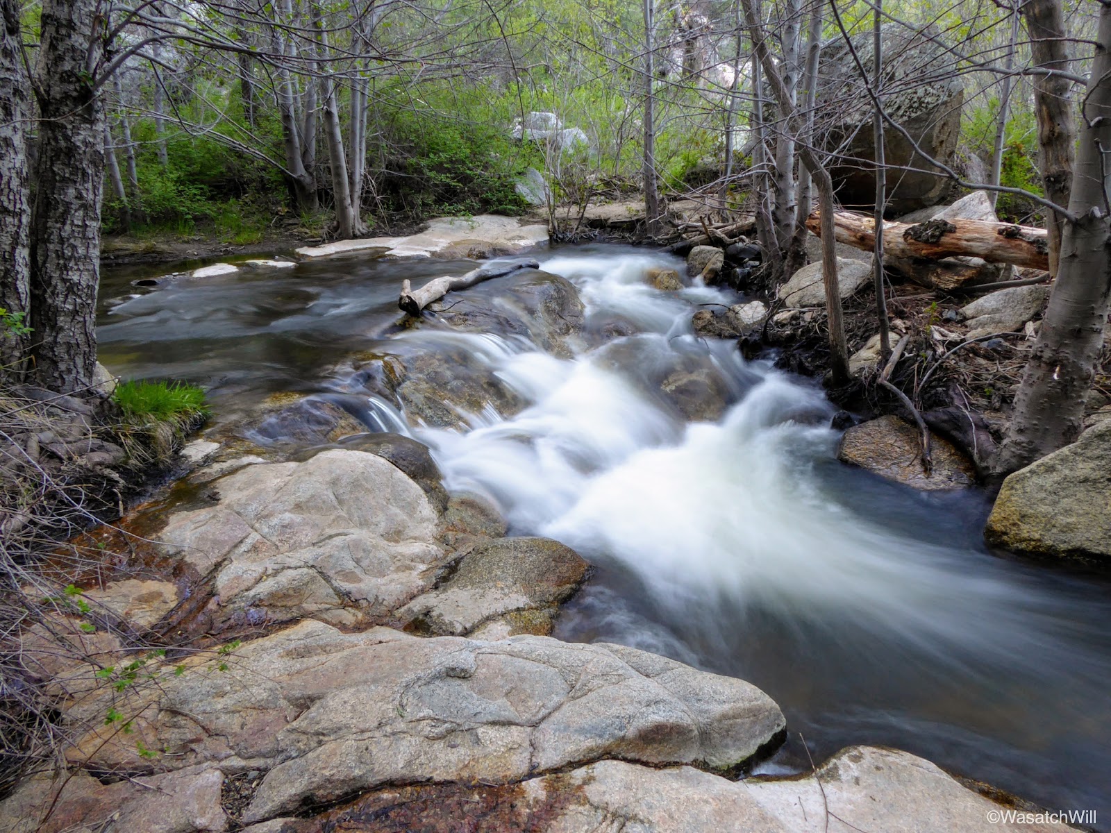 Spring Break 2017 Day 4 Cuyamaca Rancho State Park WasatchWill