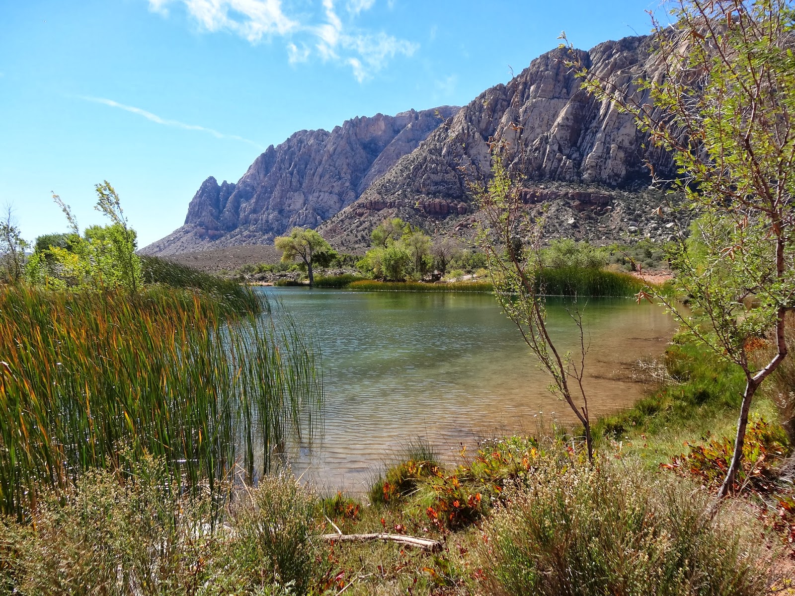 Located next to red rock canyon, this perfect picnic area is the grounds of what once was a ranch house owned by billionaire howard hughes. Happy in Hainesport Spring Mountain Ranch State Park