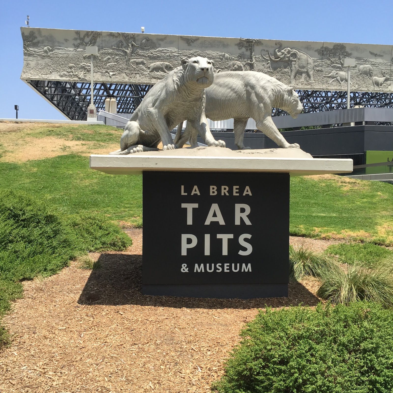 It’s a fascinating piece of land. Chadwicks' Picture Place La Brea Tar Pits