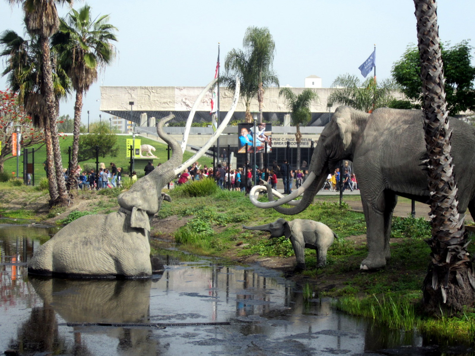 Unearth mysteries deep beneath your feet, witness fossil discoveries, and explore exhibits of mammoth proportions. Hasty Pics La Brea Tar Pits & Page Museum Los Angeles, California
