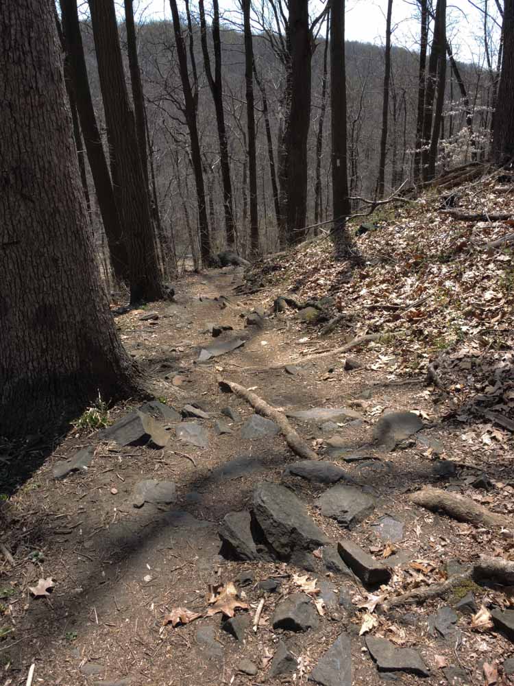 That's a lot of area to explore! My Daily Photo Walk Day 220 Patapsco Valley State Park, Hollofield Area
